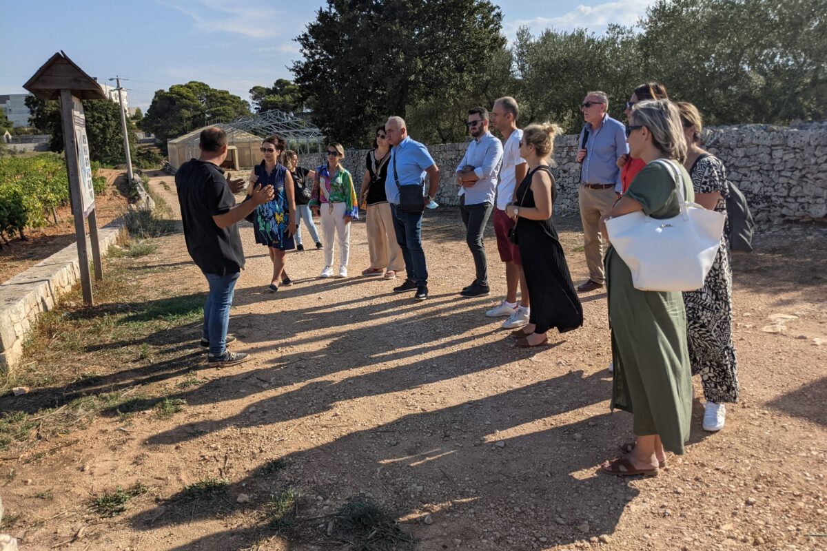 PXL_20210908_141354969