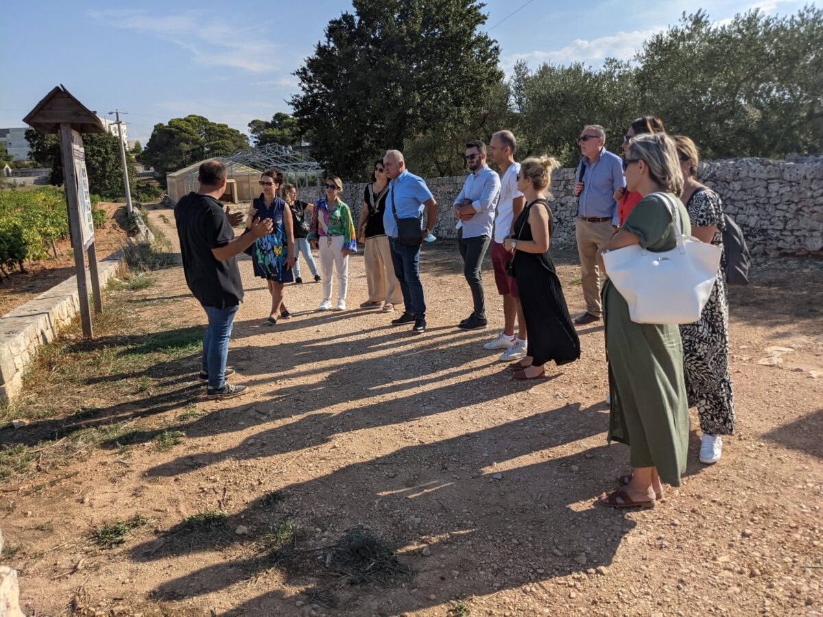 PXL_20210908_141354969