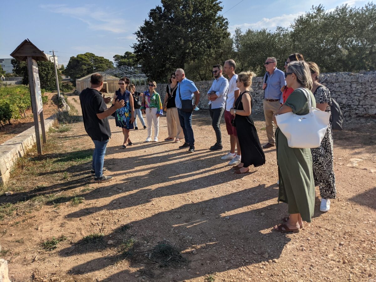 PXL_20210908_141354969